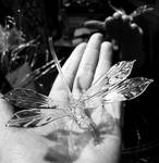 Dragonfly glass sculpture by WeirdWondrous