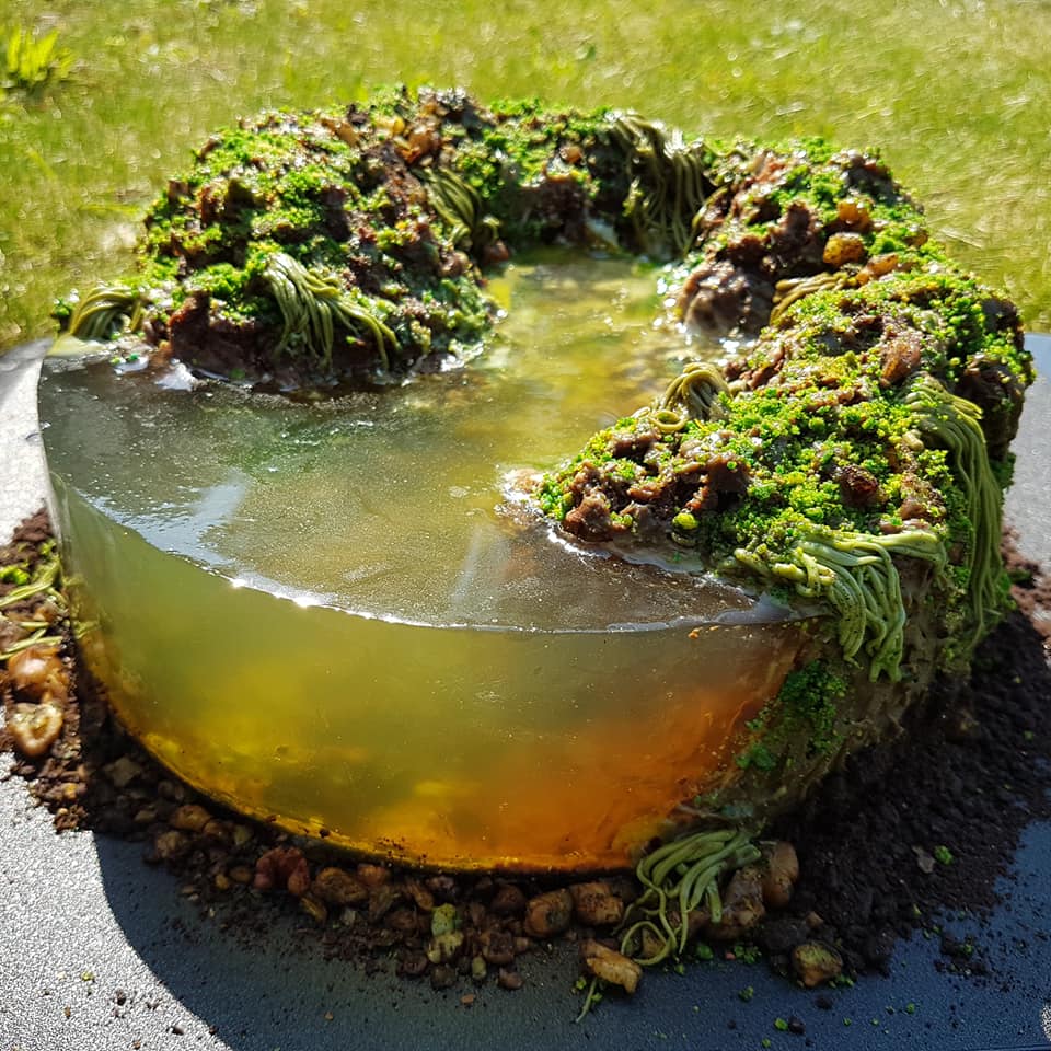 Bog Witch Cake 2020