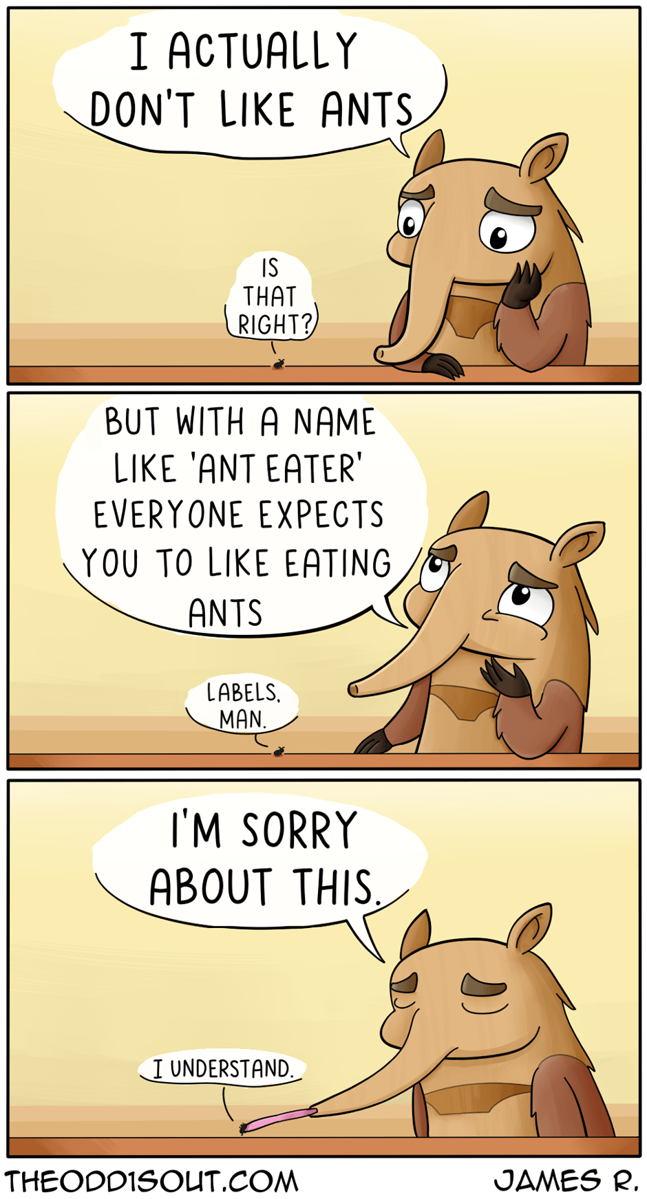 Anteater