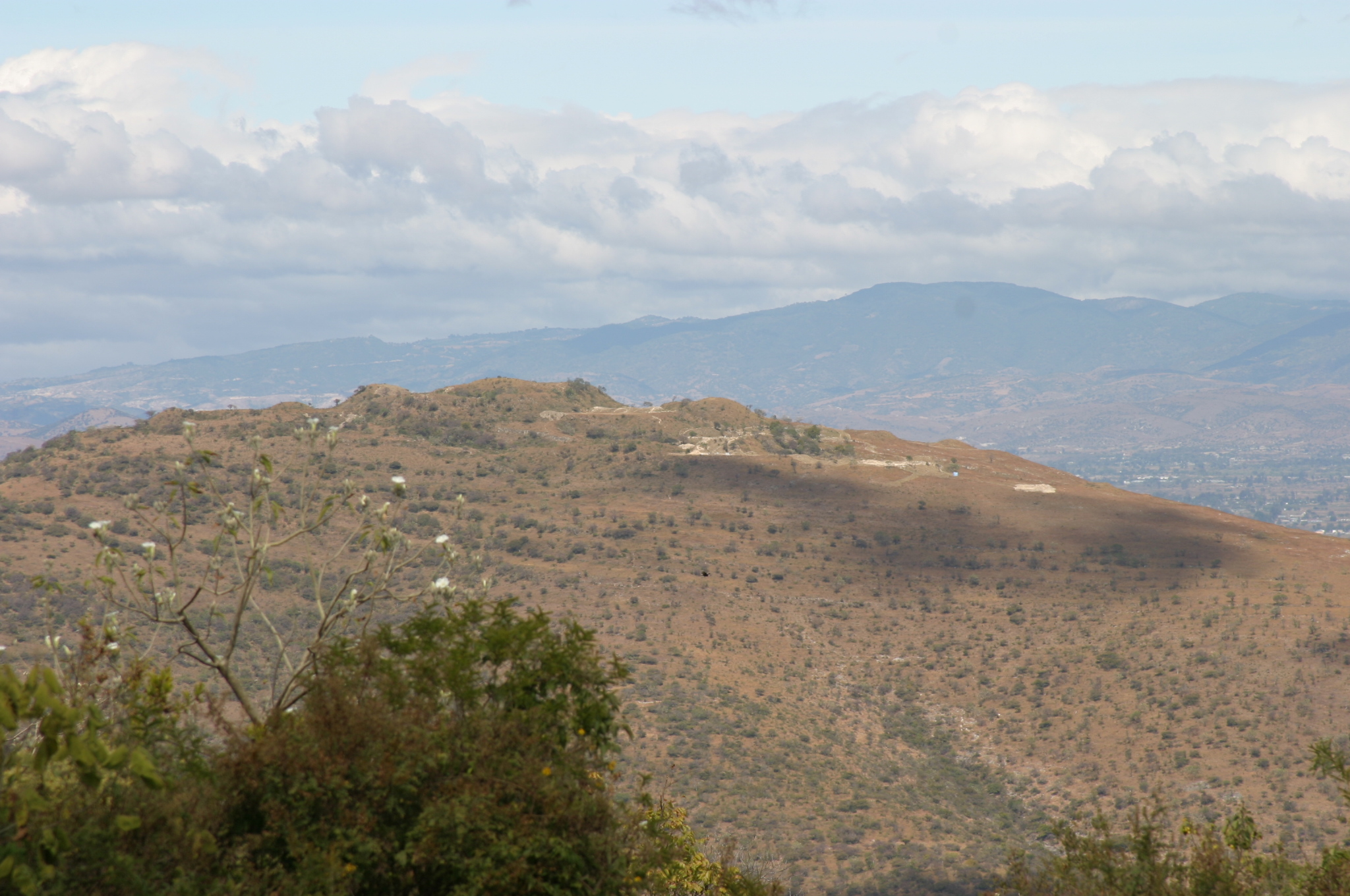 Monte Alban 4