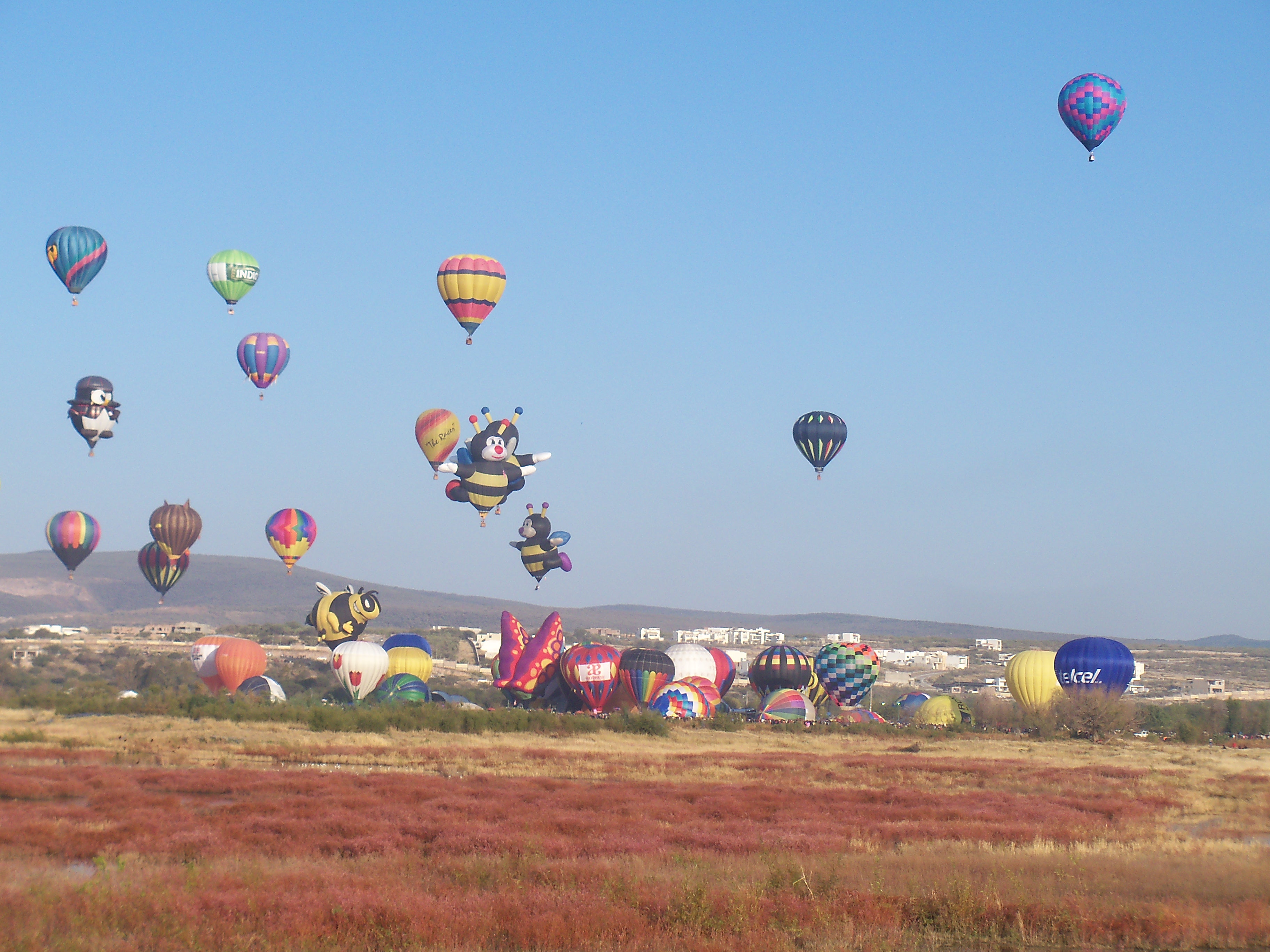 Festival del Globo1