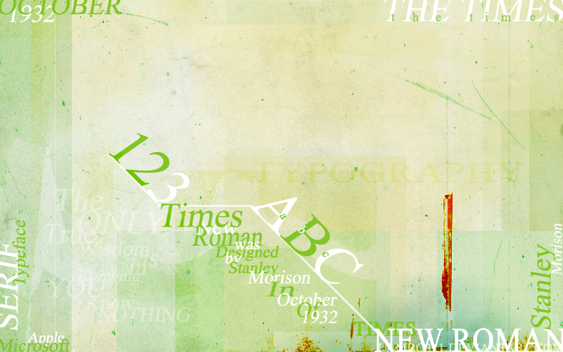 Times New Roman