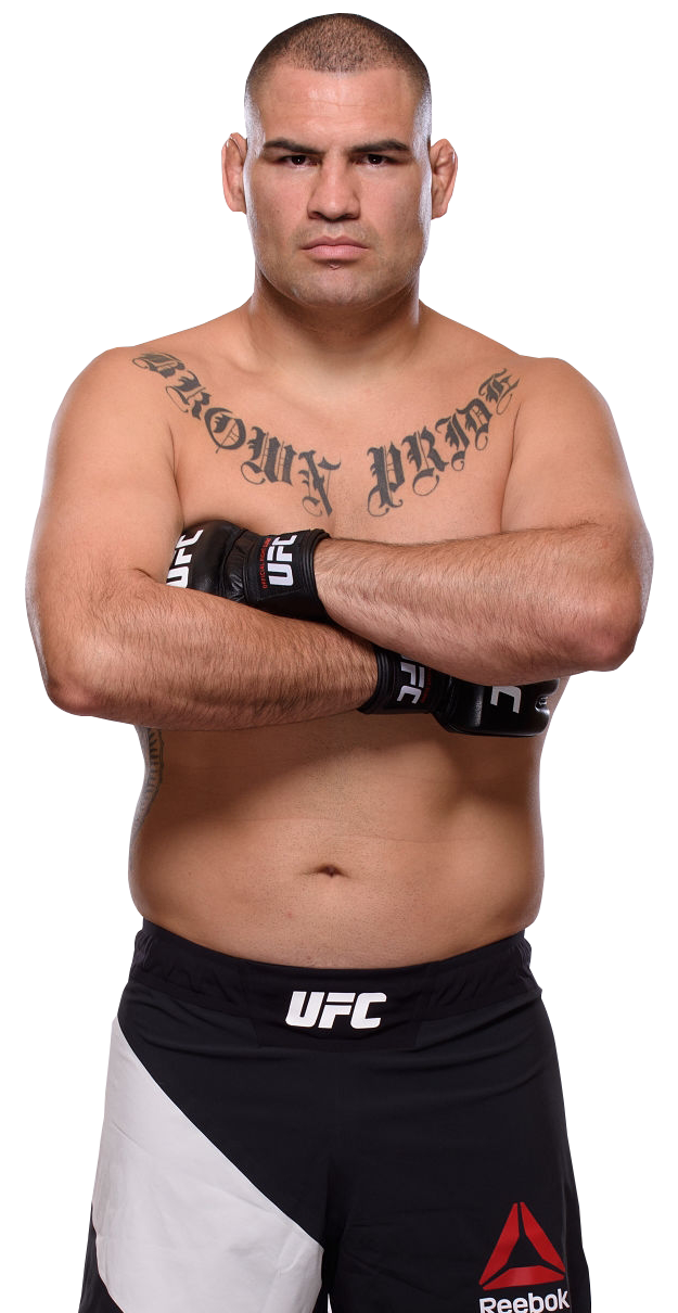 Cain velasquez wwe sales