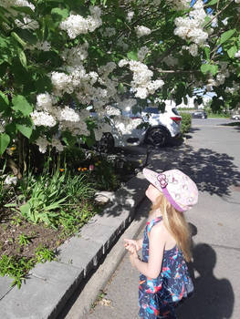 my daughter and her fav tree