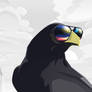Raven