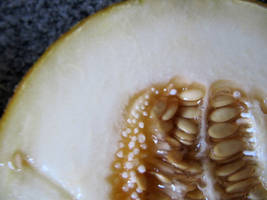 Melon