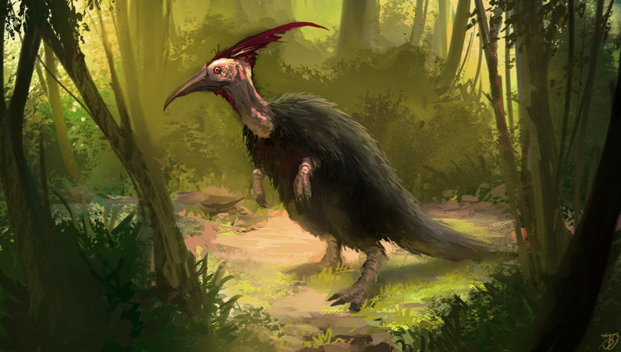 Jungle Bird Creature design