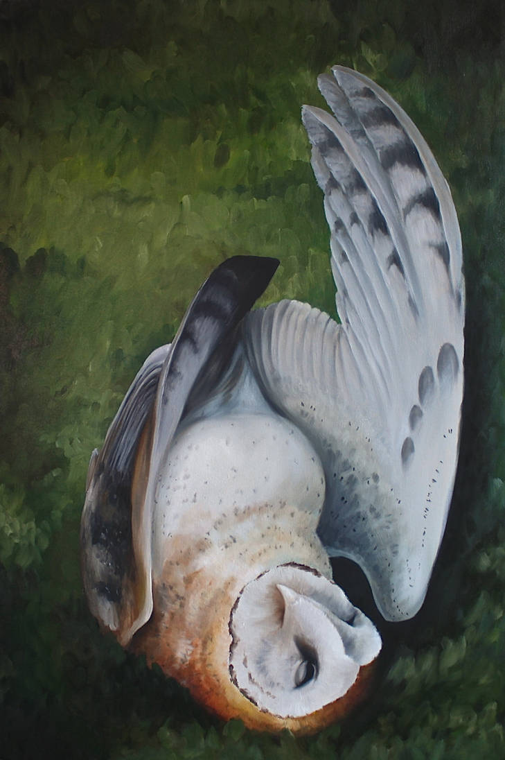 Minerva's Owl in Oils by Alithographica