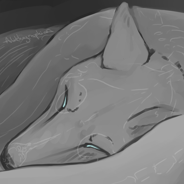 Paintsketch: Canidae