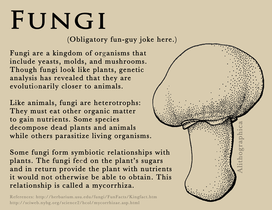 Science Fact Friday: Fungi