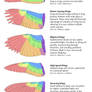 Science Fact Friday: Wing Shapes