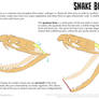 Science Fact Friday: Snake Jaws