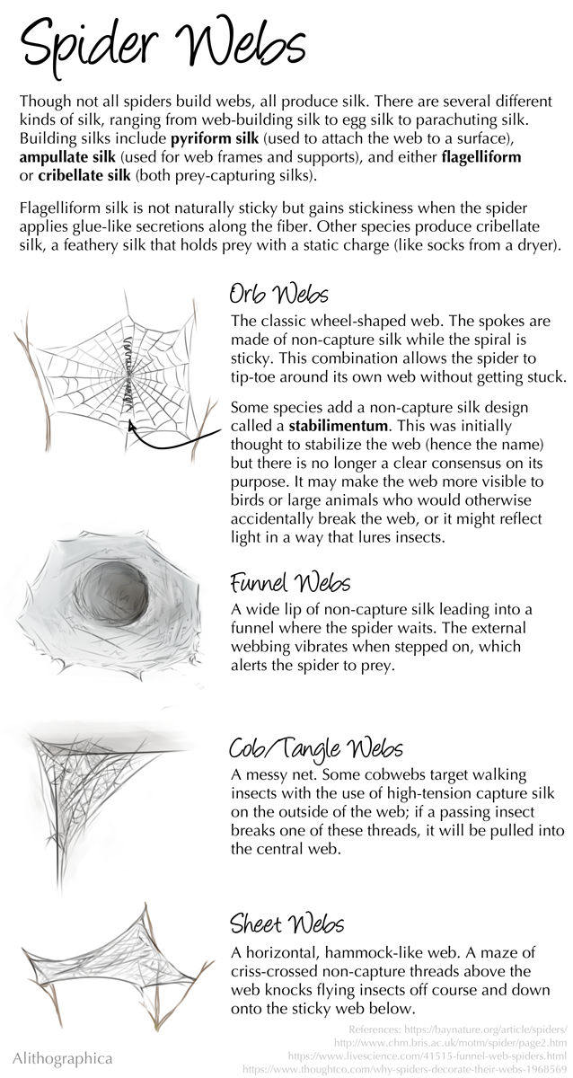 Science Fact Friday: Spider Webs by Alithographica on DeviantArt