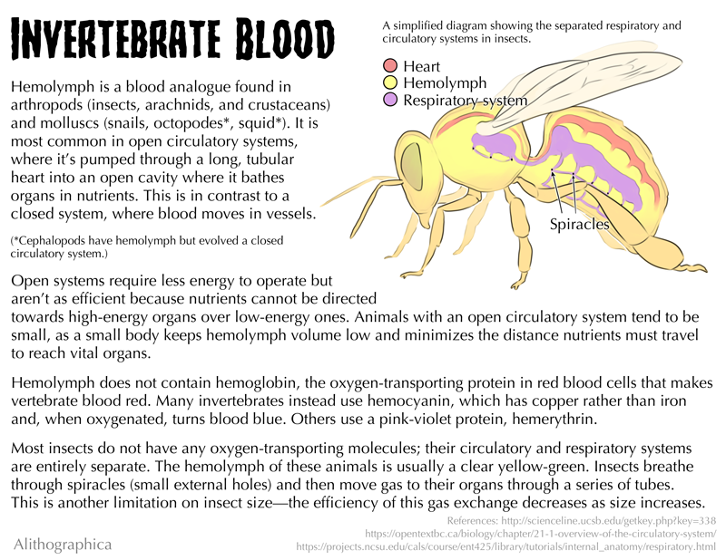 Do Insects Bleed Science Fact Friday: Hemolymph by Alithographica on DeviantArt