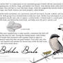 Science Fact Friday: Butcher Birds