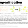 Science Fact Friday: Saponification
