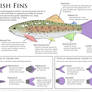 Science Fact Friday: Fish Fins