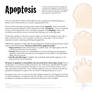 Science Fact Friday: Apoptosis