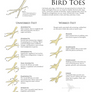 Science Fact Friday: Bird Feet