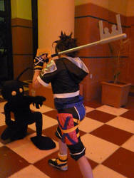 FAE 2011: Sora vs. Heartless