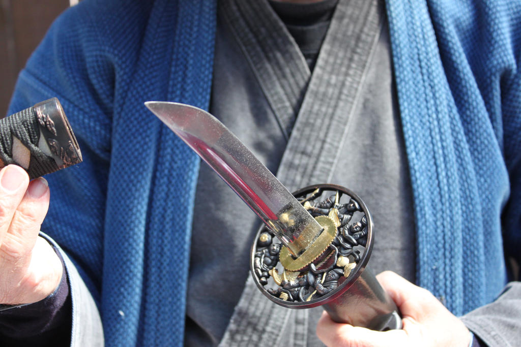 Blade Held Inverted inverted blade by okaycyaround on DeviantArt