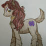 Clawdeen Pony