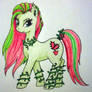 Venus Pony
