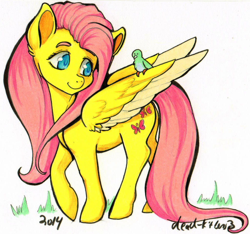 Gift: Fluttershy