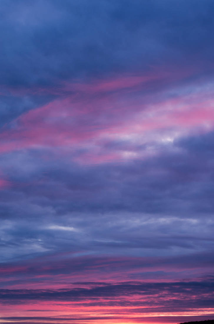 Day 9, Purple Skies by Kotowaru on DeviantArt