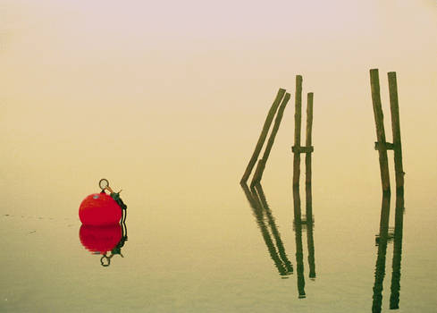 Red Buoy