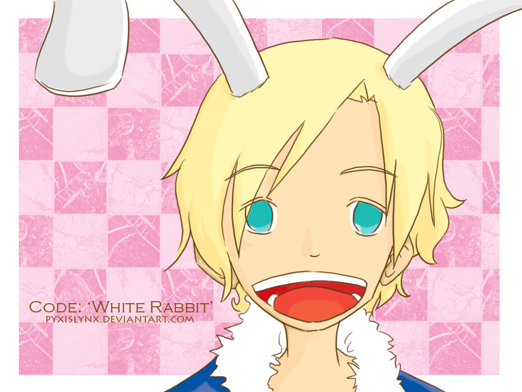 :oc: codename white rabbit by pyxislynx on DeviantArt