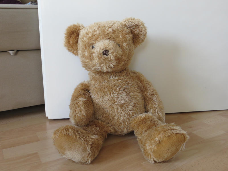 teddy bear by thommas68 teddy bear by thommas68