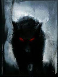 black wolf of the night