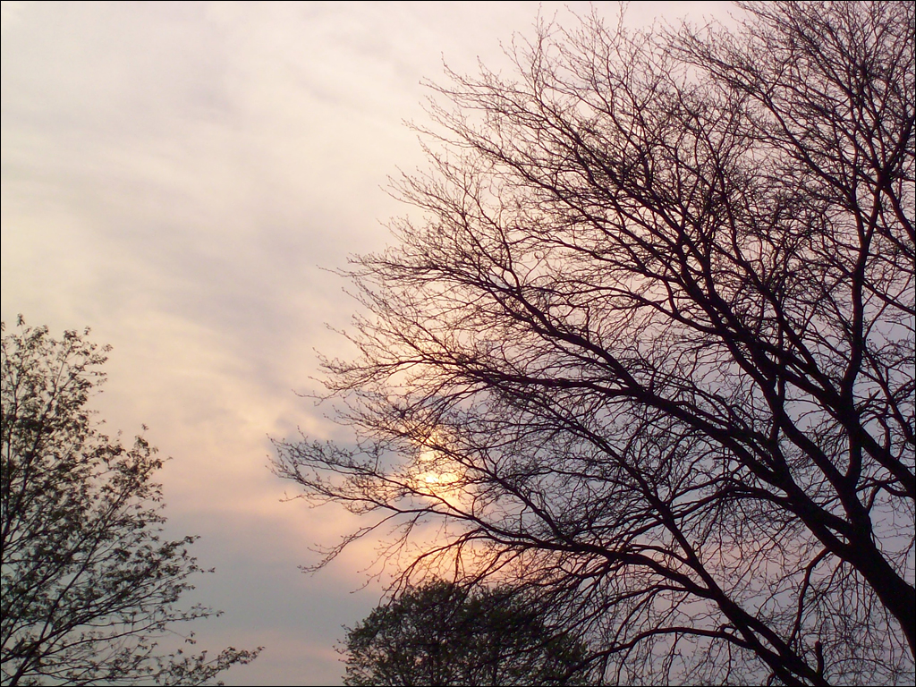 Illinois Sunset 2