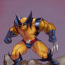 Coloring-Wolverine