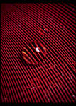 Lines and Magnification by DafoeofLenin