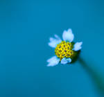 Bleu II. by DafoeofLenin