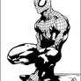 Spidey By Komus