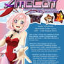 AmeCon 2012 Advert 2