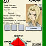 Tsunade Ninja Info Card