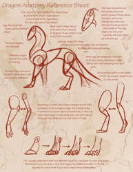 Dragon Anatomy Reference Sheet