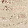 Wings Reference Sheet