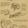 Mephe Species Reference