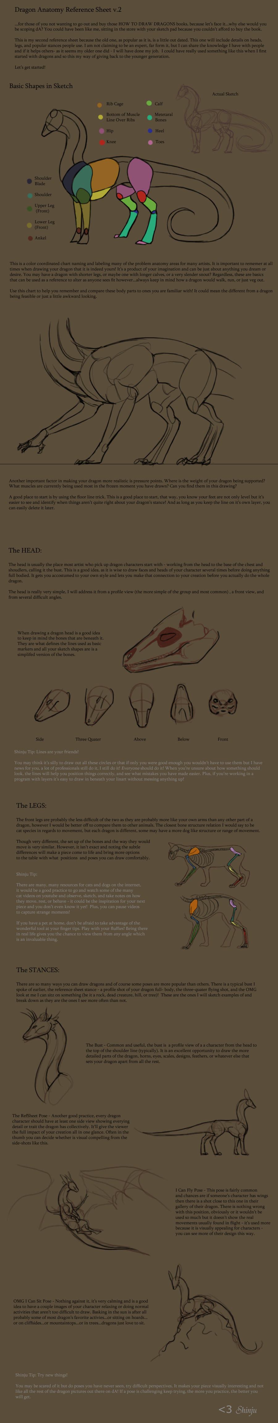 Dragon Anatomy RefSheet v. 02