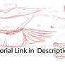 Bird Wing Anatomy Tutorial - Video