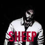 Sheep (The Wolf Among Us 2 Hype)