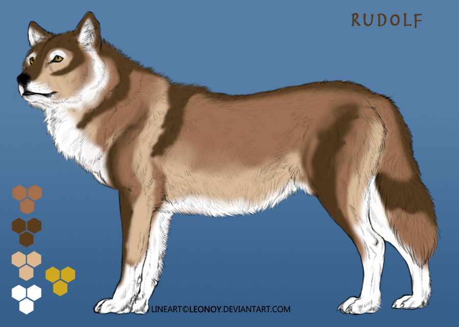 Rudolf wolf form ref by MisleadTruth on DeviantArt