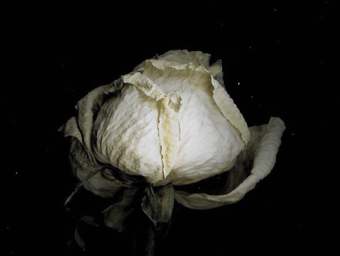 beauty in the breakdown by ledzeppelin380 on DeviantArt