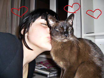 cat and me