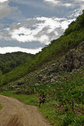 Blue, Green And Machetes